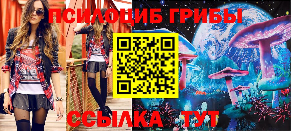 Псилоцибиновые грибы мицелий Лабинск