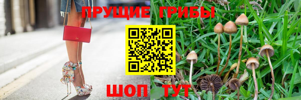 Галлюциногенные грибы GOLDEN TEACHER  Вход с VPN  Лабинск 
